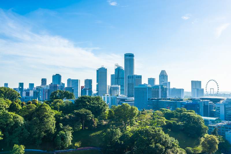 Linha de visão prédios na cidade e bosque